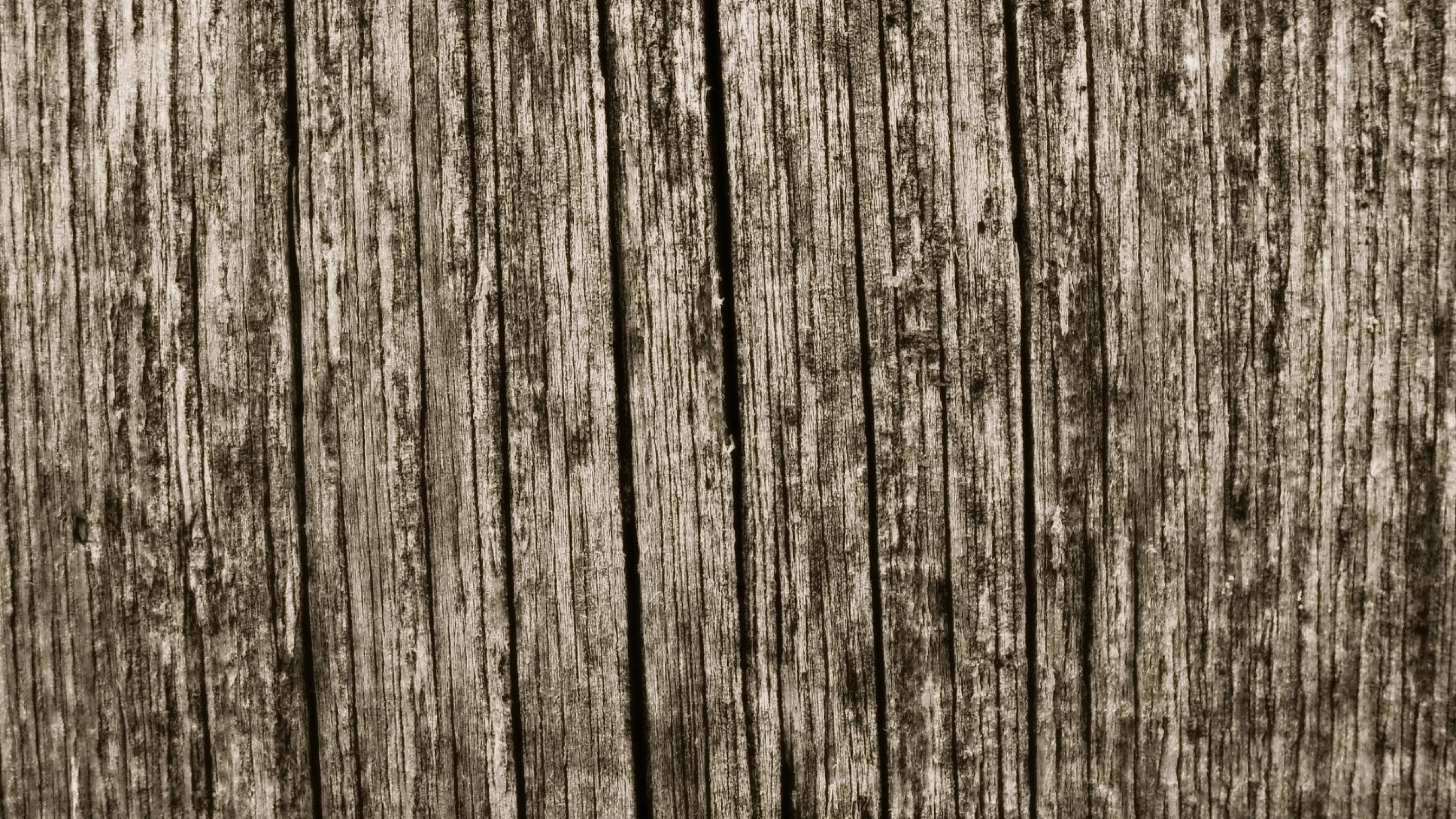 wood board wallpaper,wood,tree,trunk,line,plant