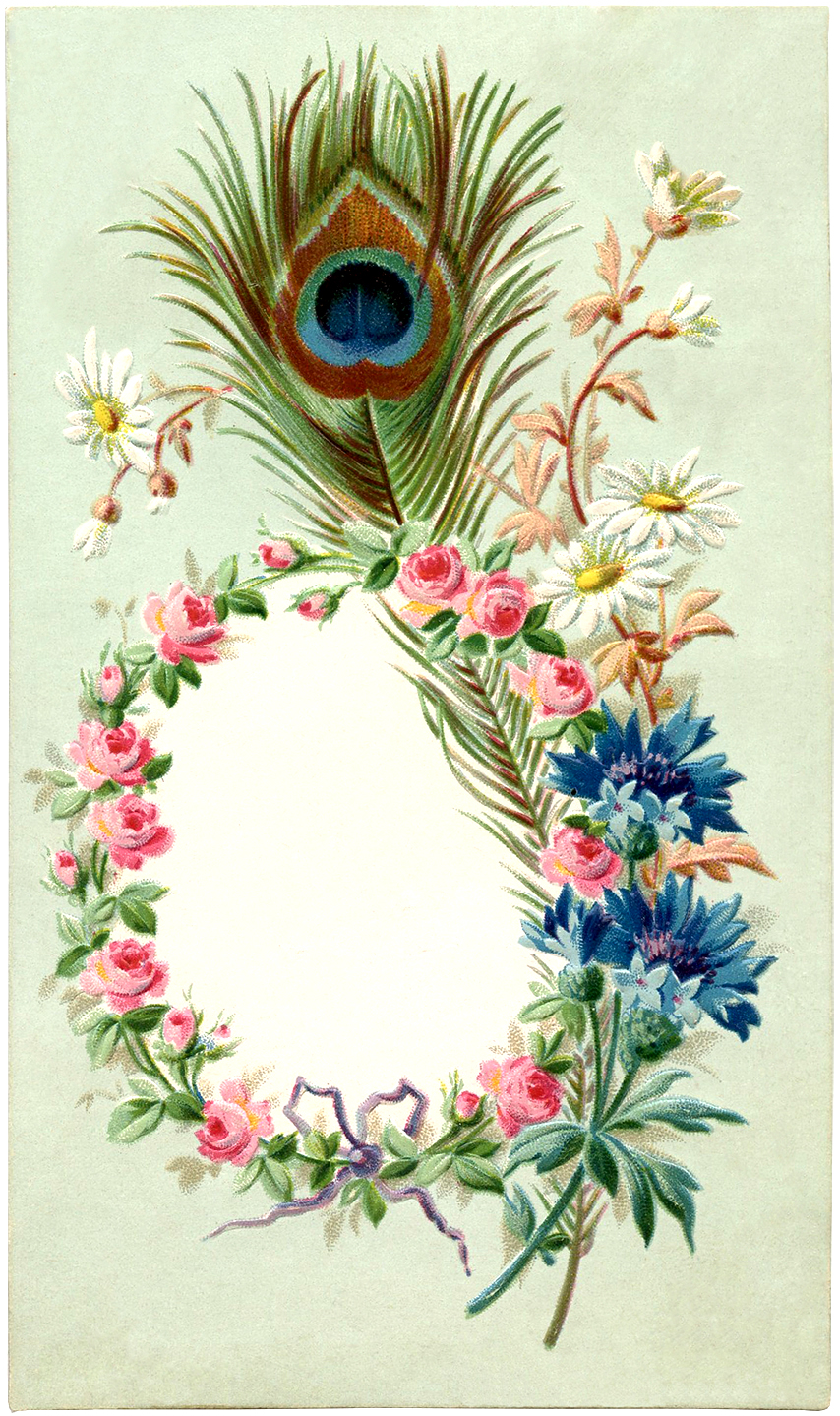 frame wallpaper for art,flower,plant,botany,wreath,floral design