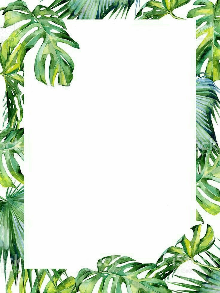 frame wallpaper for art,picture frame,leaf,plant,tree,vascular plant