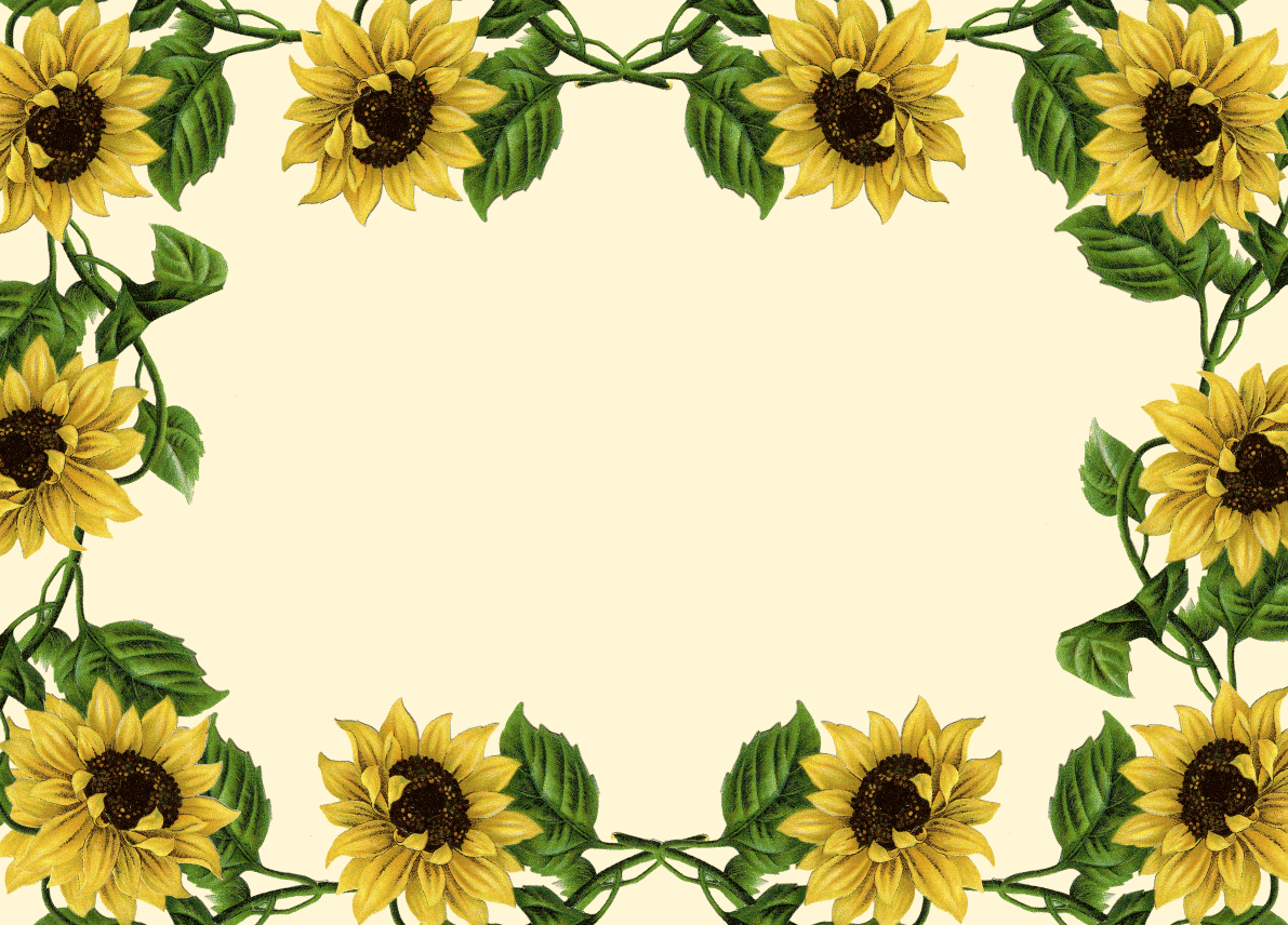 papel tapiz de marco para el arte,girasol,flor,girasol,amarillo,planta