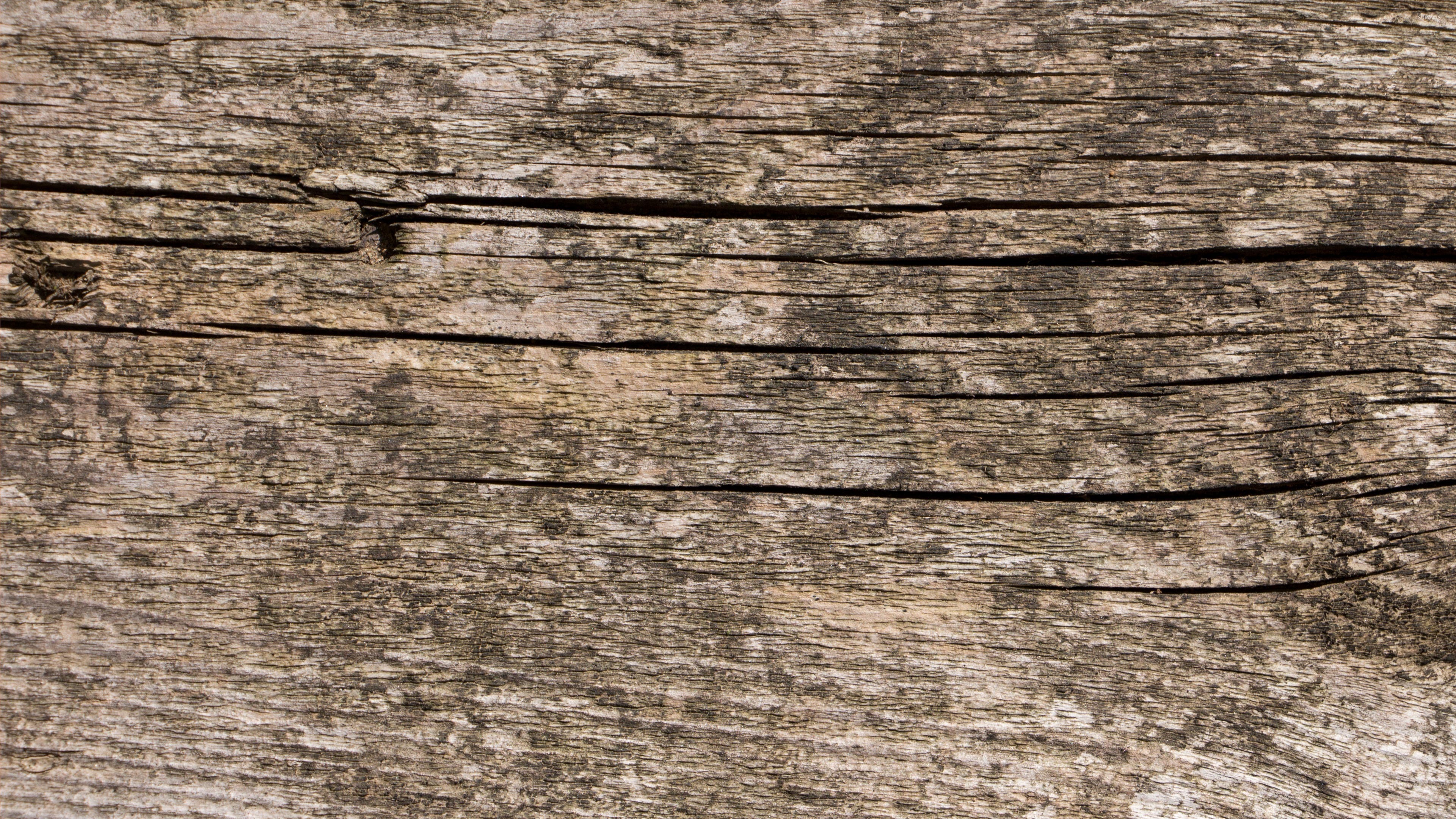 vieux papier peint en bois