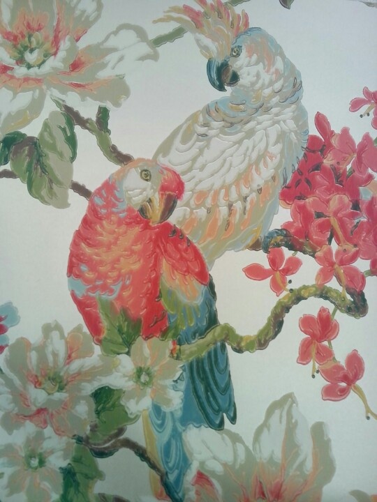 papier peint amusant pour les murs,oiseau,perroquet,textile,modèle,plante