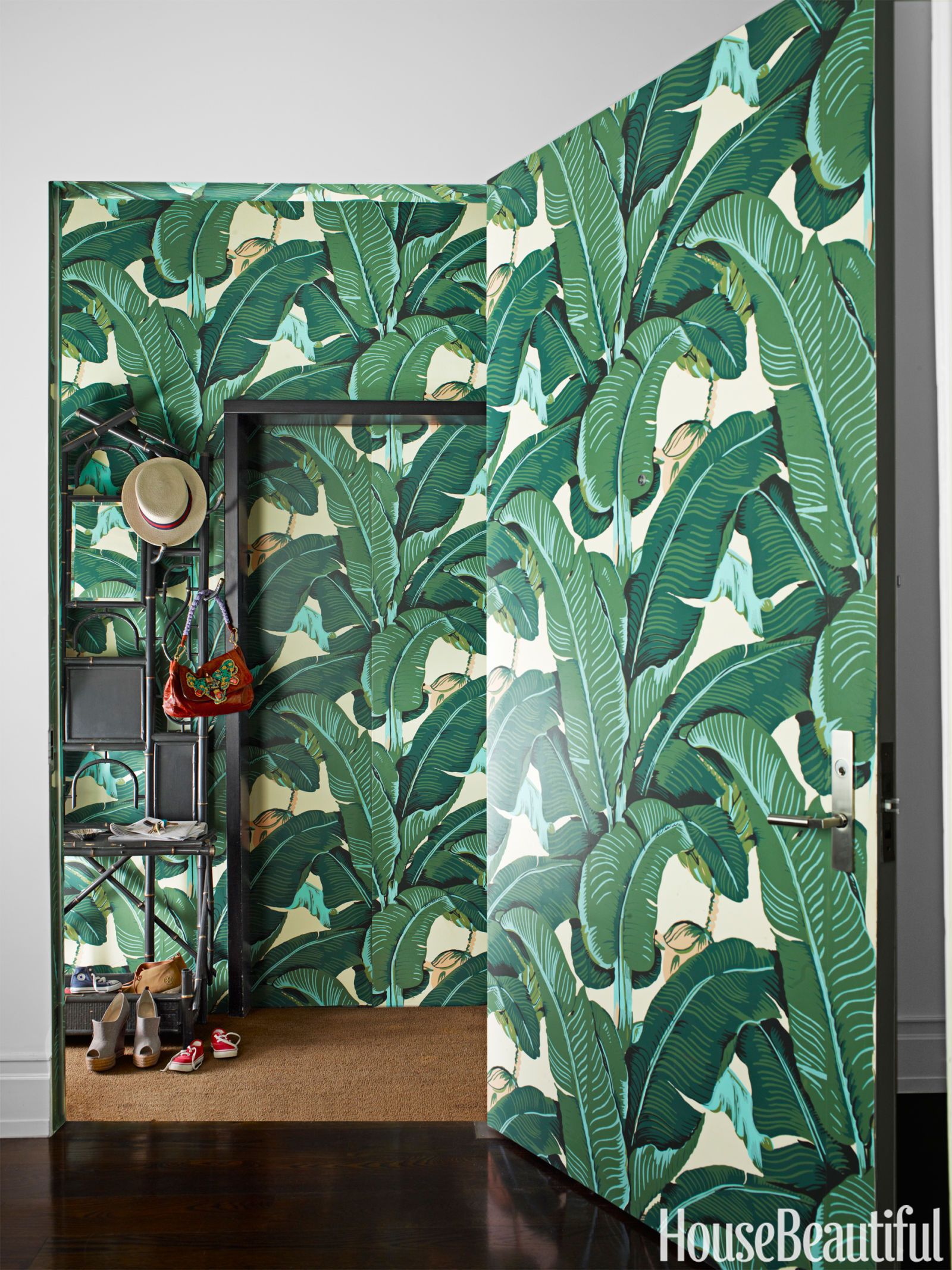 벽을위한 재미있는 벽지,잎,초록,식물,꽃,관엽 식물