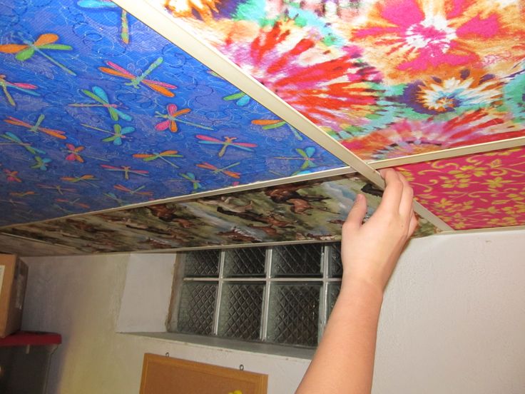 papier peint amusant pour les murs,plafond,mur,chambre,arts visuels,design d'intérieur