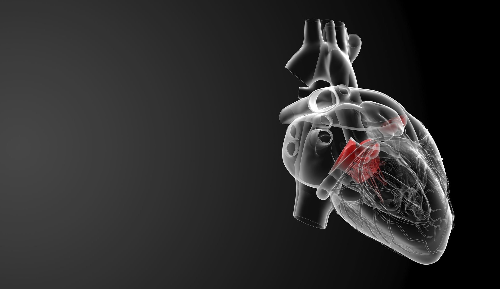 fond d'écran médical hd,corps humain,main,radiographie,cœur