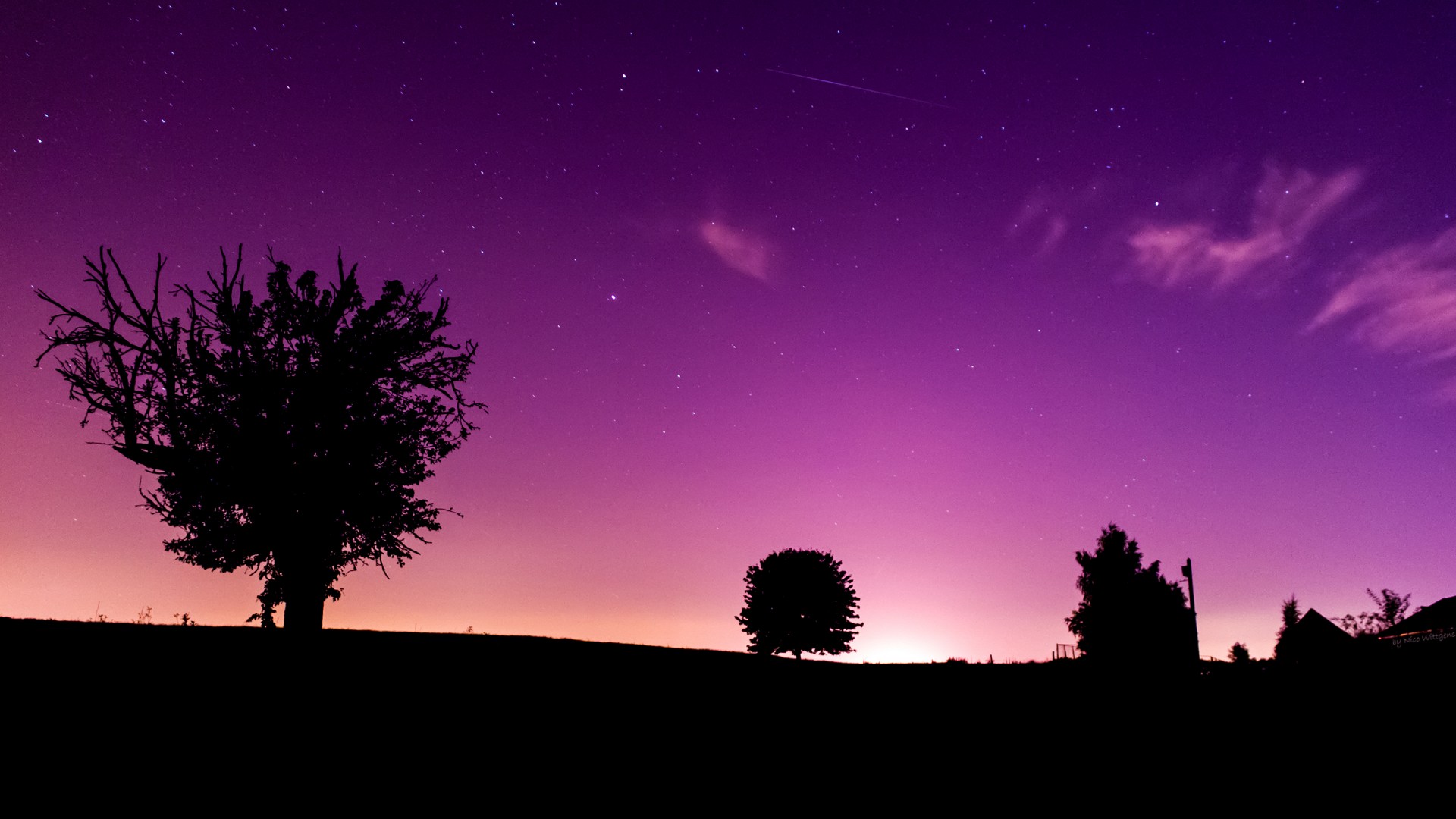 pinky wallpaper hd,himmel,natur,baum,lila,horizont