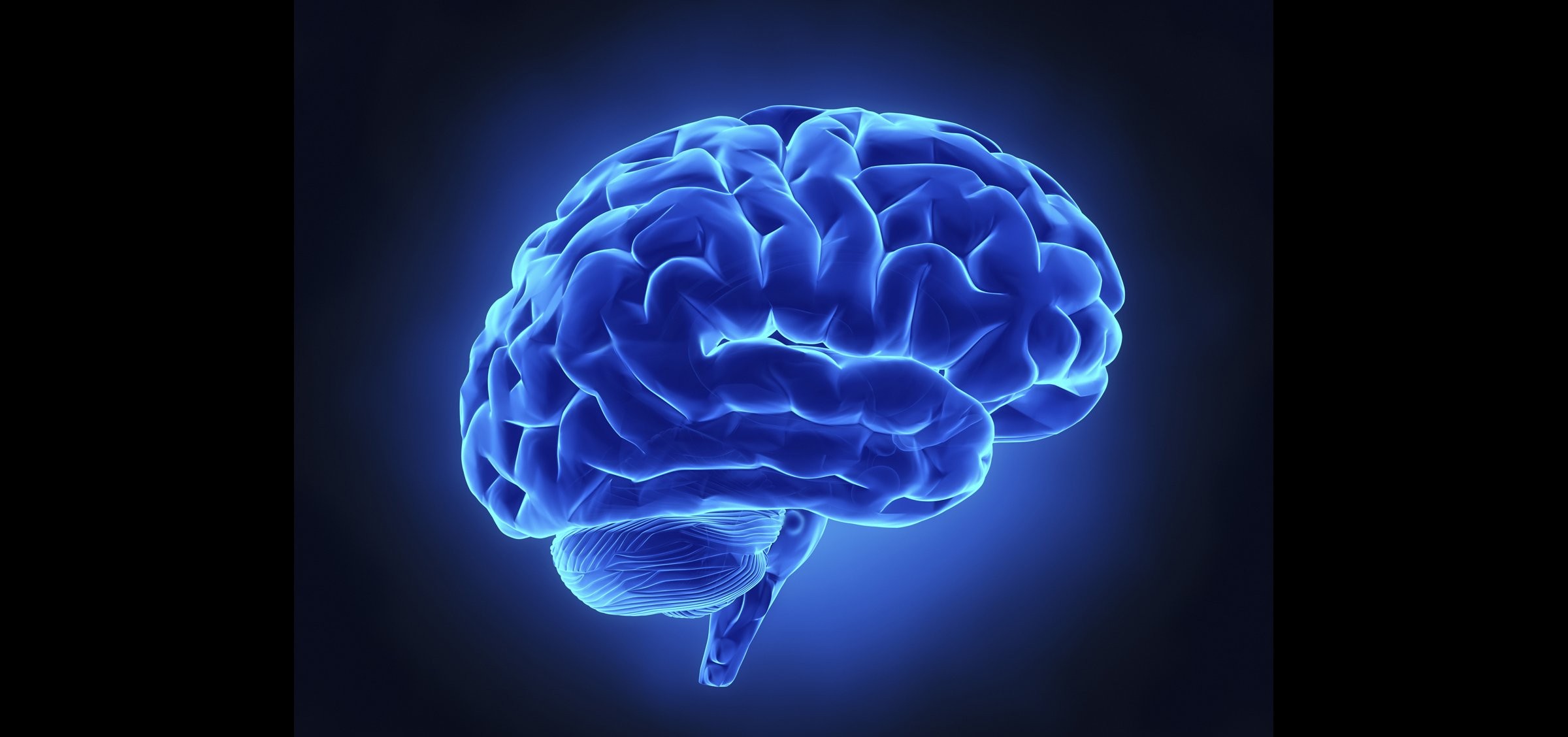 cervello sfondo hd,cervello,cervello,blu elettrico,medico,acqua