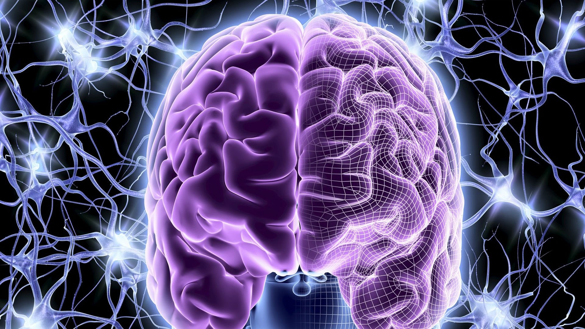 脳の壁紙のhd,脳,医療の,脳,紫の,医療画像処理
