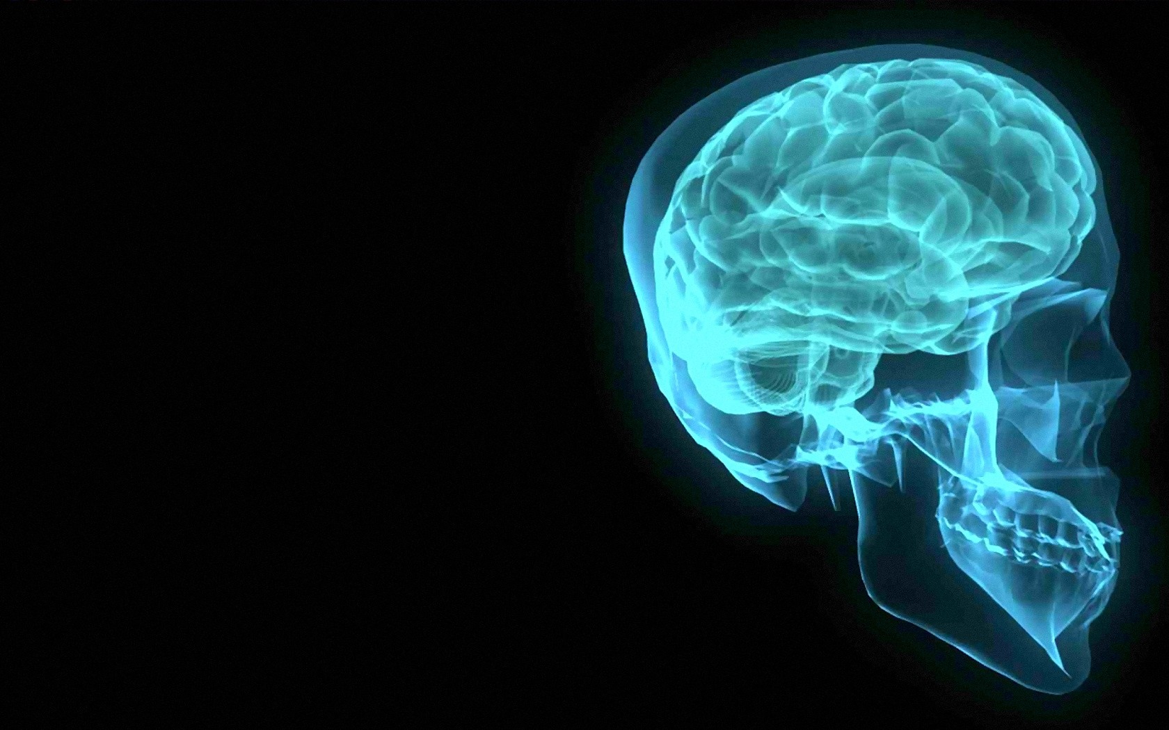 cervello sfondo hd,radiografia,medico,testa,cervello,osso