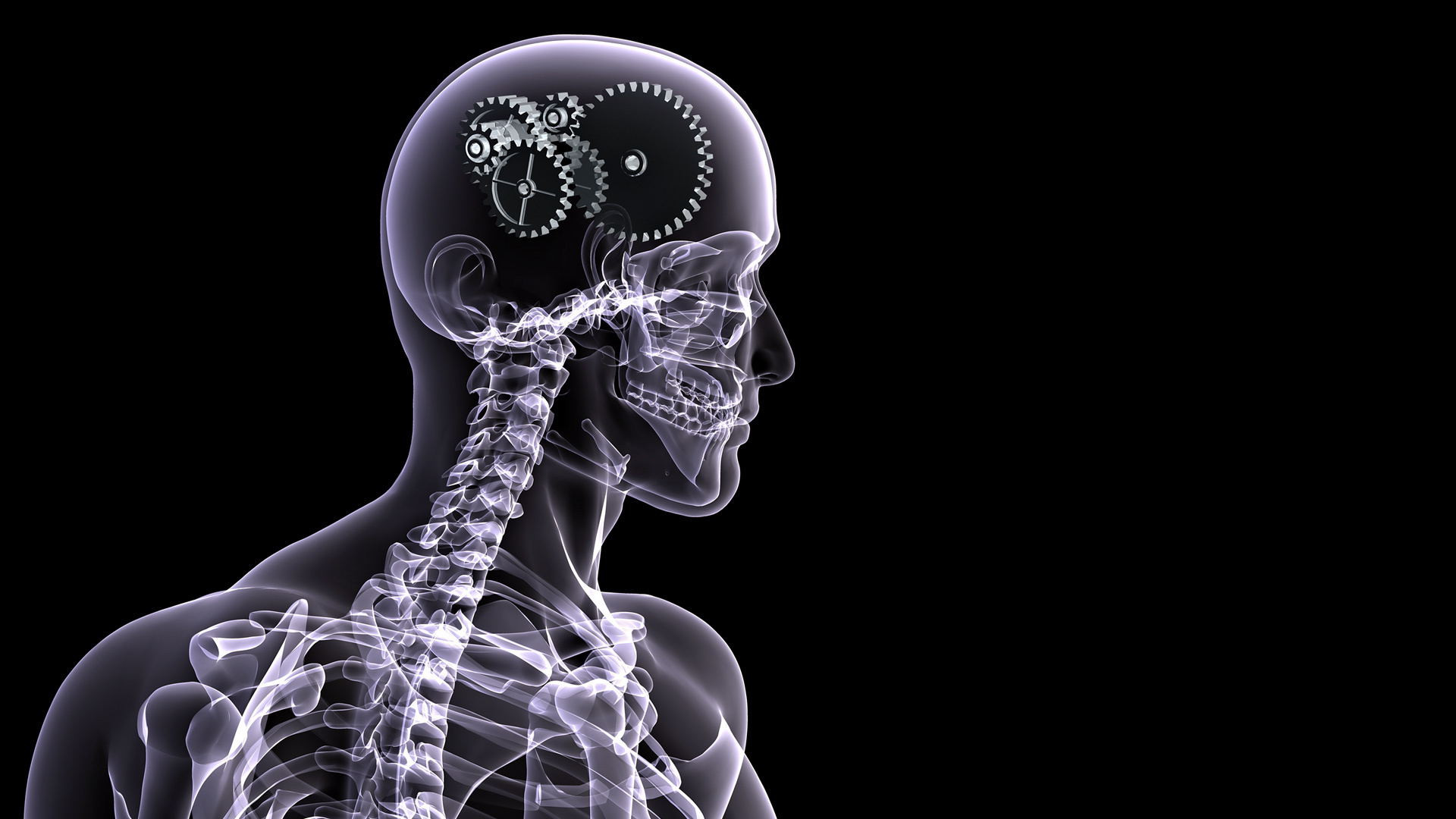 cervello sfondo hd,testa,radiografia,cervello,medico,umano