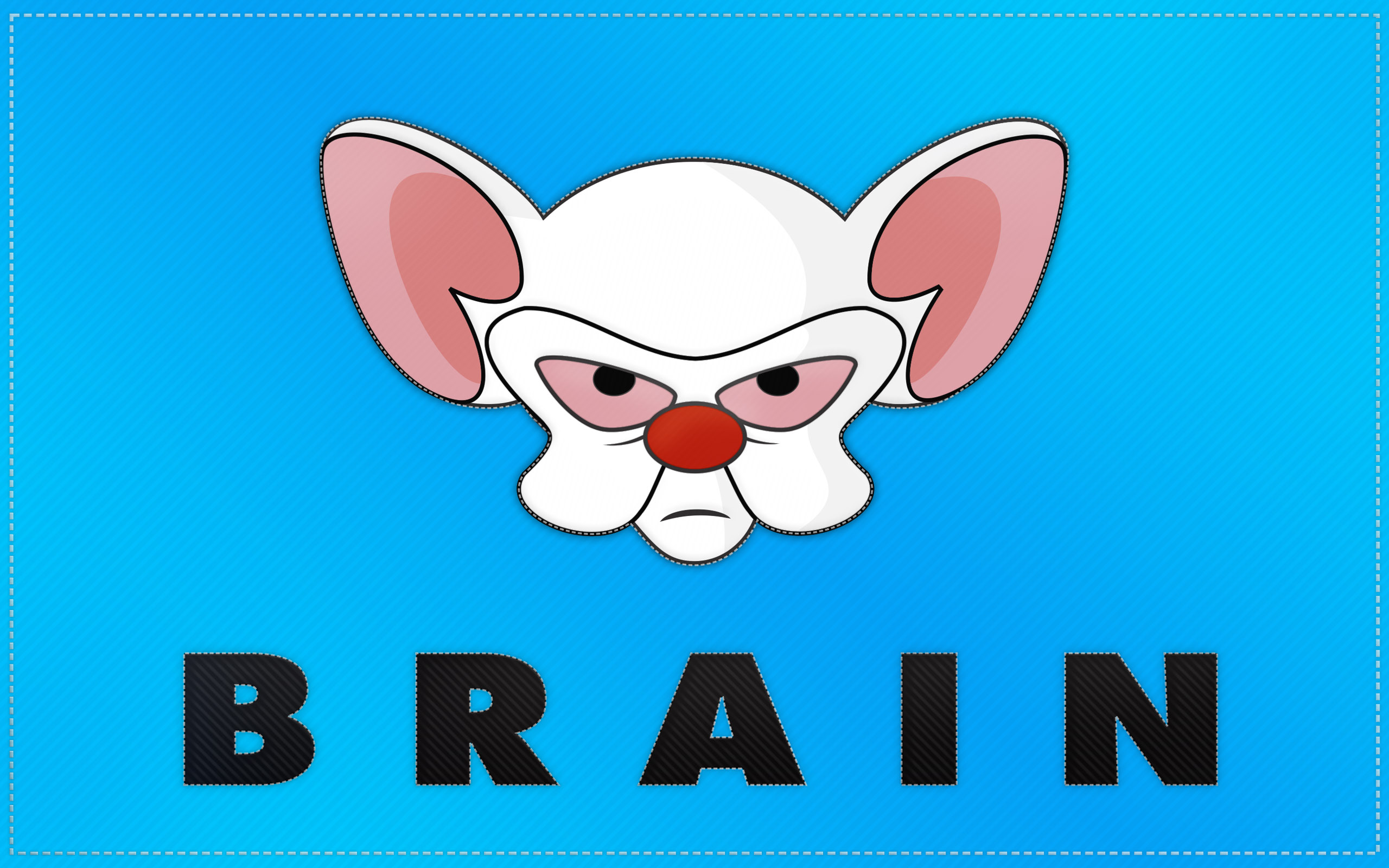 pinky and the brain wallpaper,cartoon,text,snout,logo,font