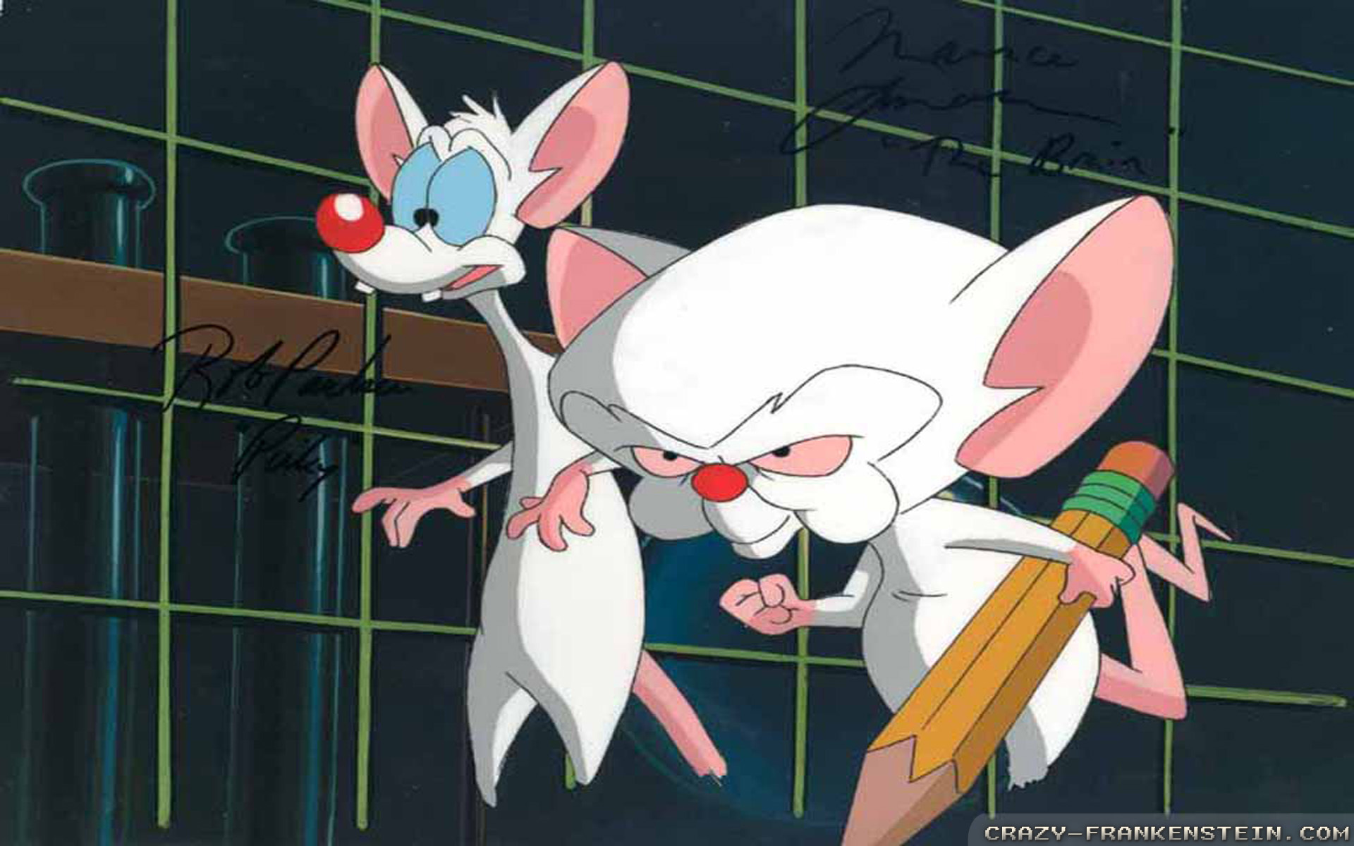 pinky and the brain wallpaper,cartoon,animated cartoon,fiction,animation,fictional character