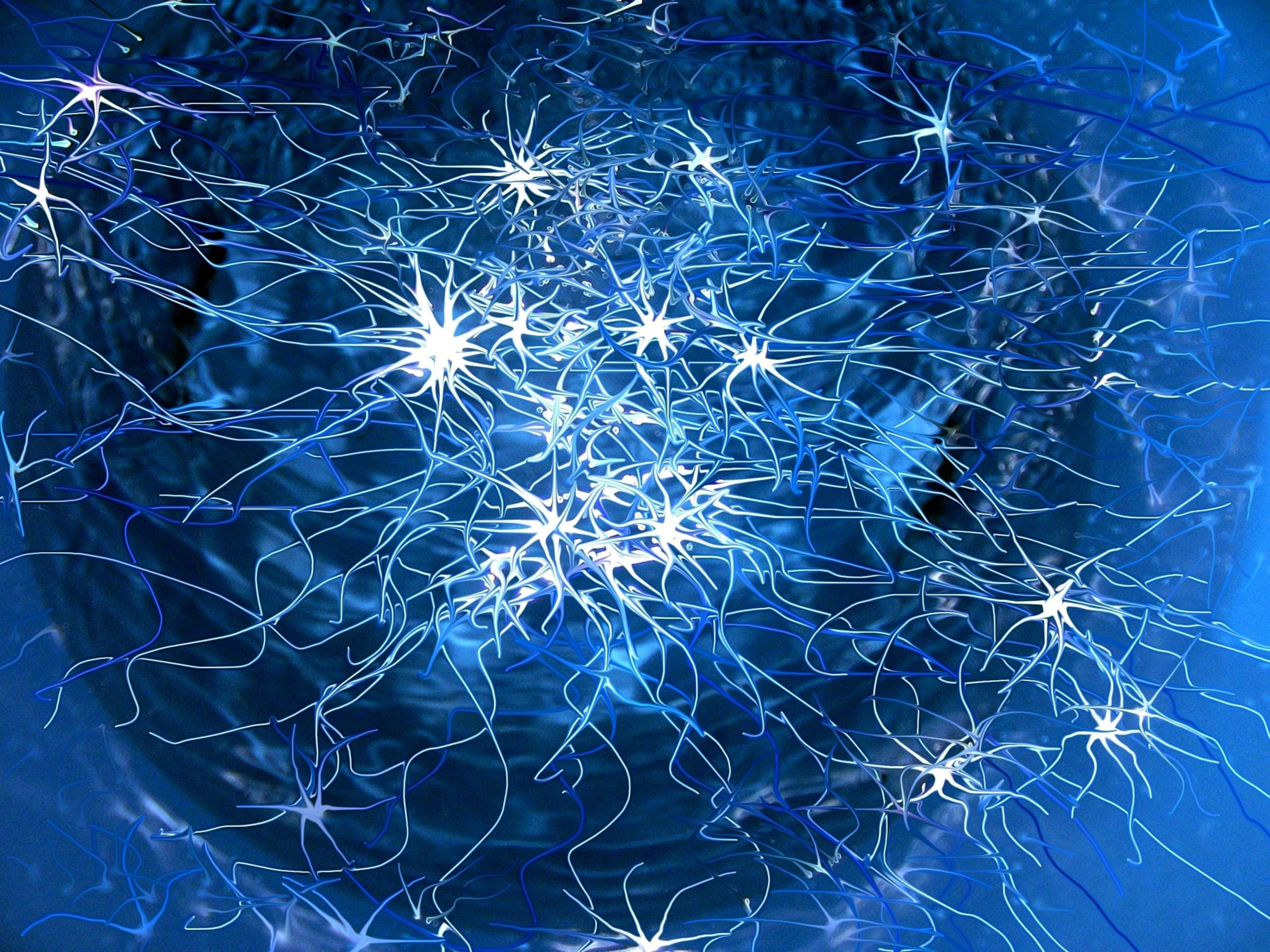 neuron wallpaper,blue,electric blue,nature,water,sky