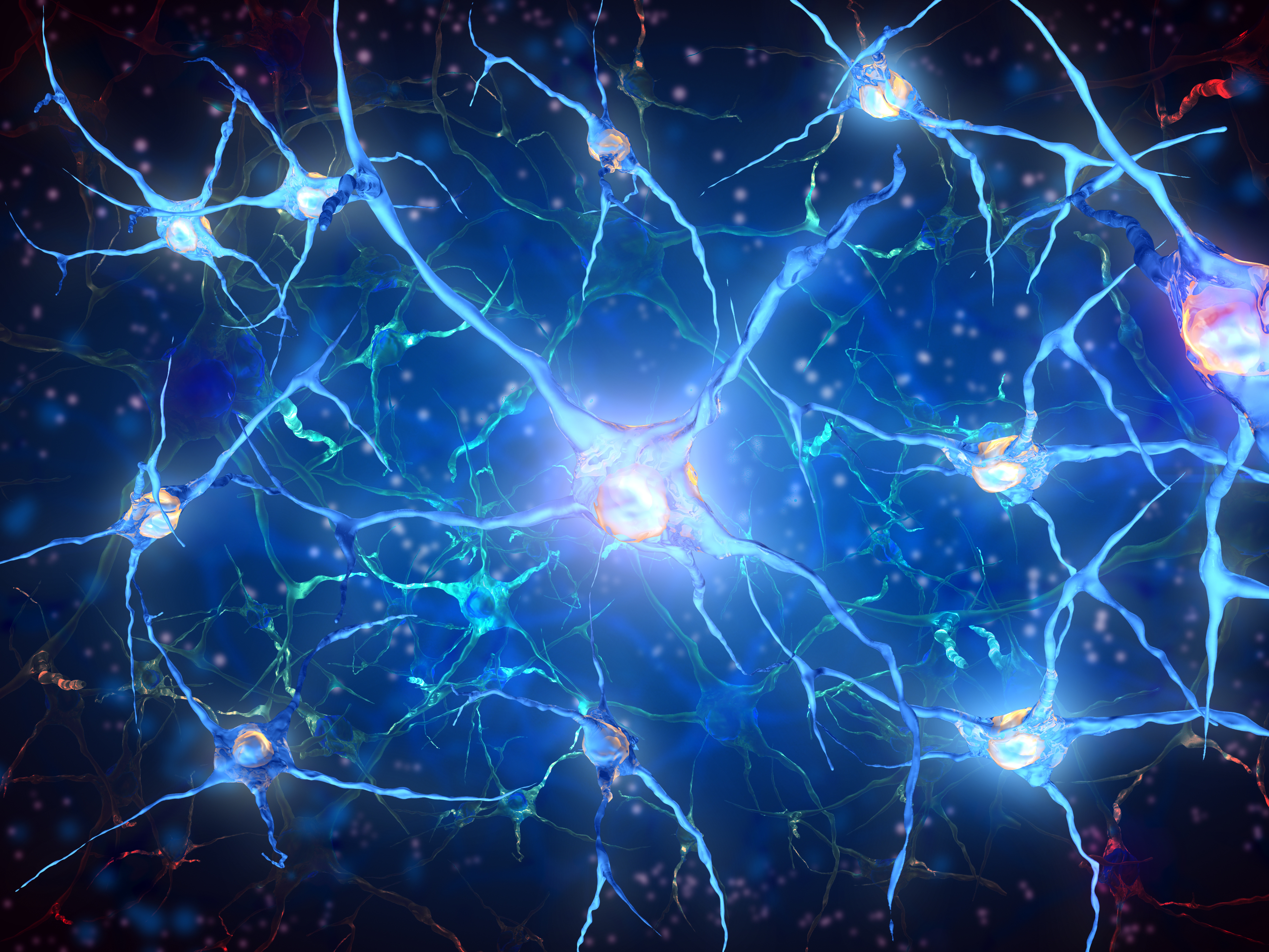 ニューロンの壁紙,水,青い,光,エレクトリックブルー,点灯