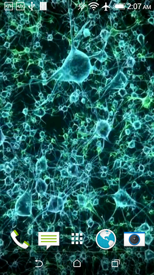 fond d'écran neurone,vert,modèle,conception