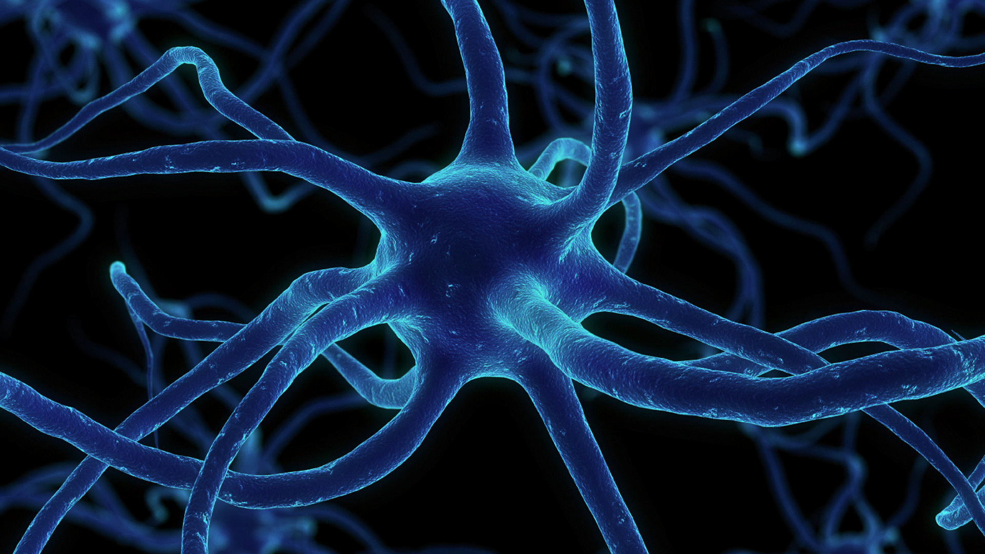 neuron wallpaper,blue,electric blue,organism,water,pattern