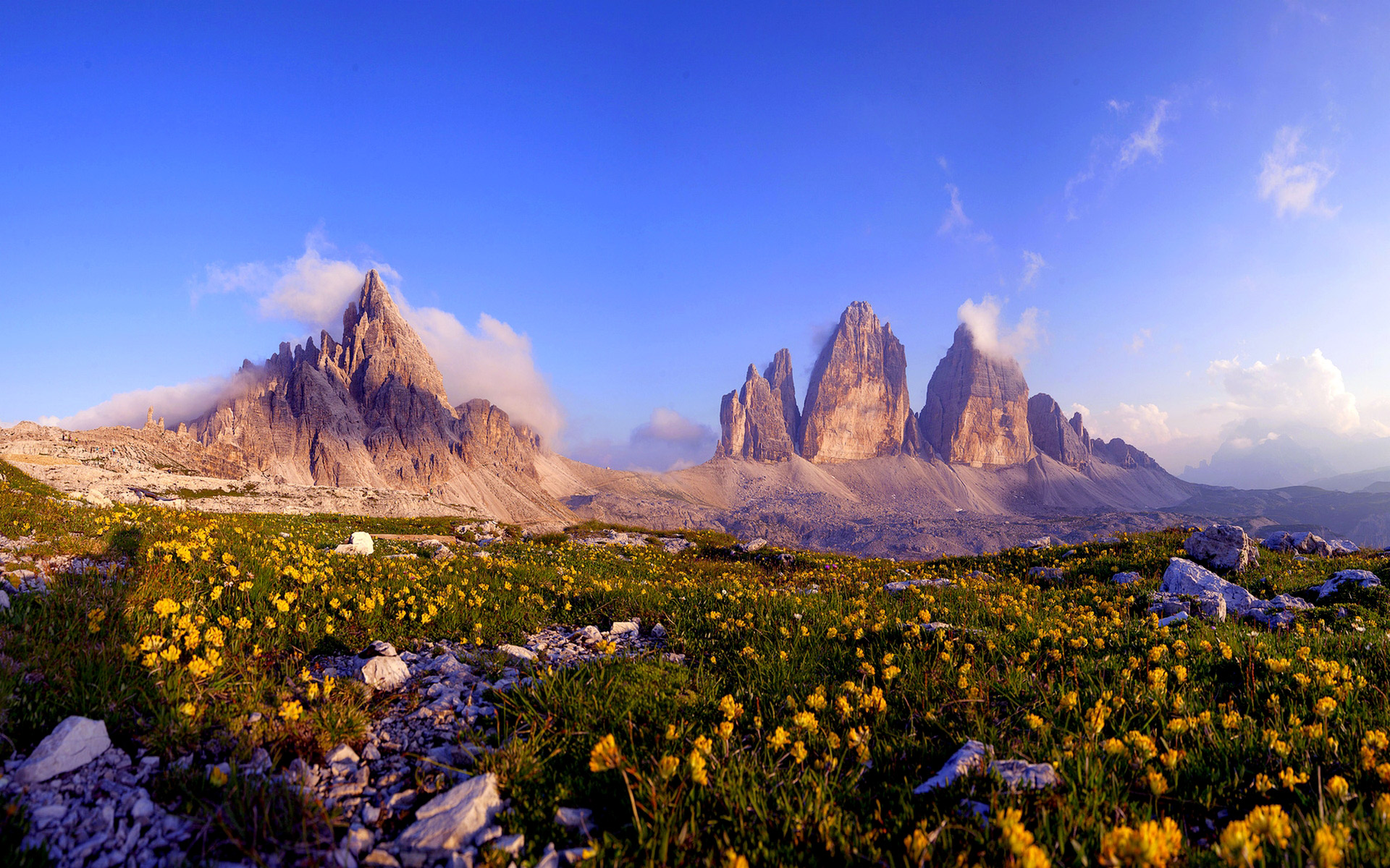 carta da parati campo di fiori,paesaggio naturale,natura,montagna,cielo,catena montuosa