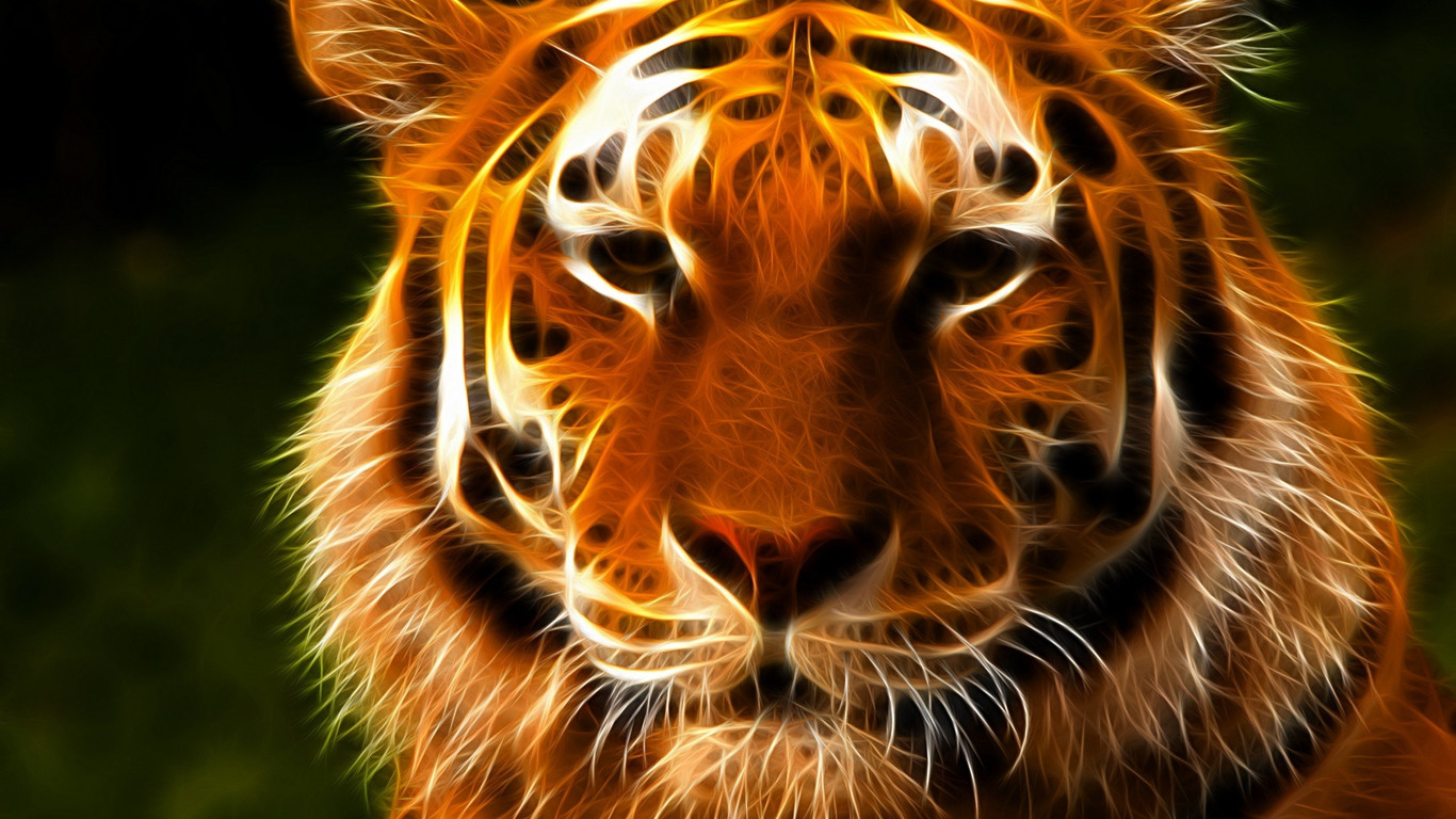 скачать wallpaper,vertebrate,terrestrial animal,wildlife,bengal tiger,tiger