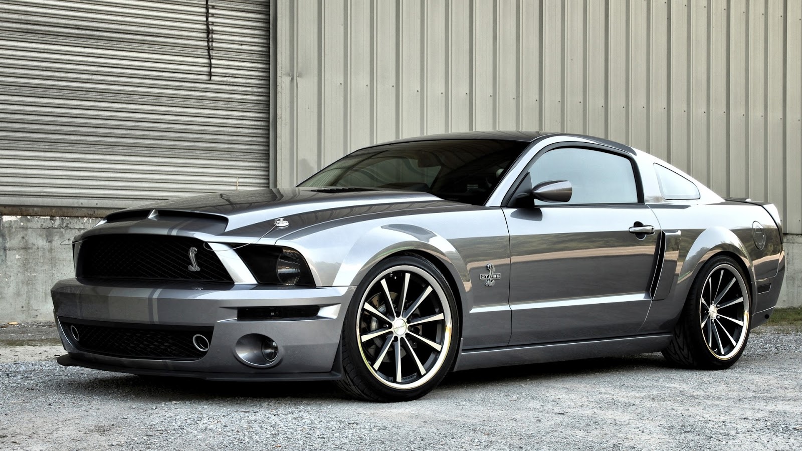 ford car wallpaper,land vehicle,vehicle,car,motor vehicle,shelby mustang
