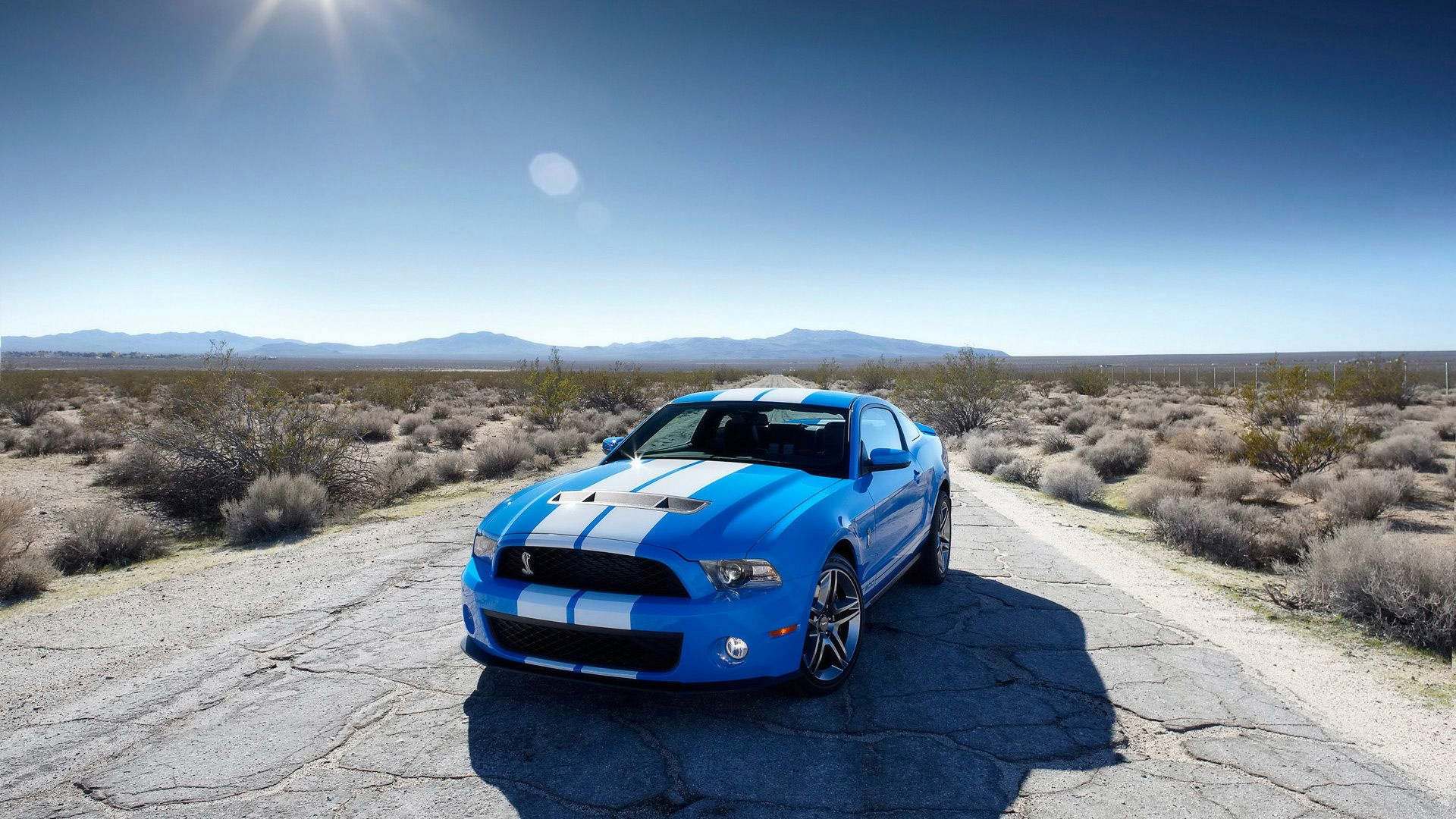 fond d'écran de voiture ford,véhicule terrestre,véhicule,voiture,shelby mustang,muscle car