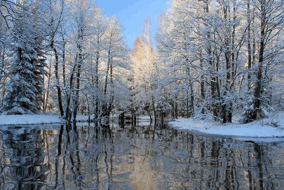 壁紙,冬,雪,自然の風景,木,自然
