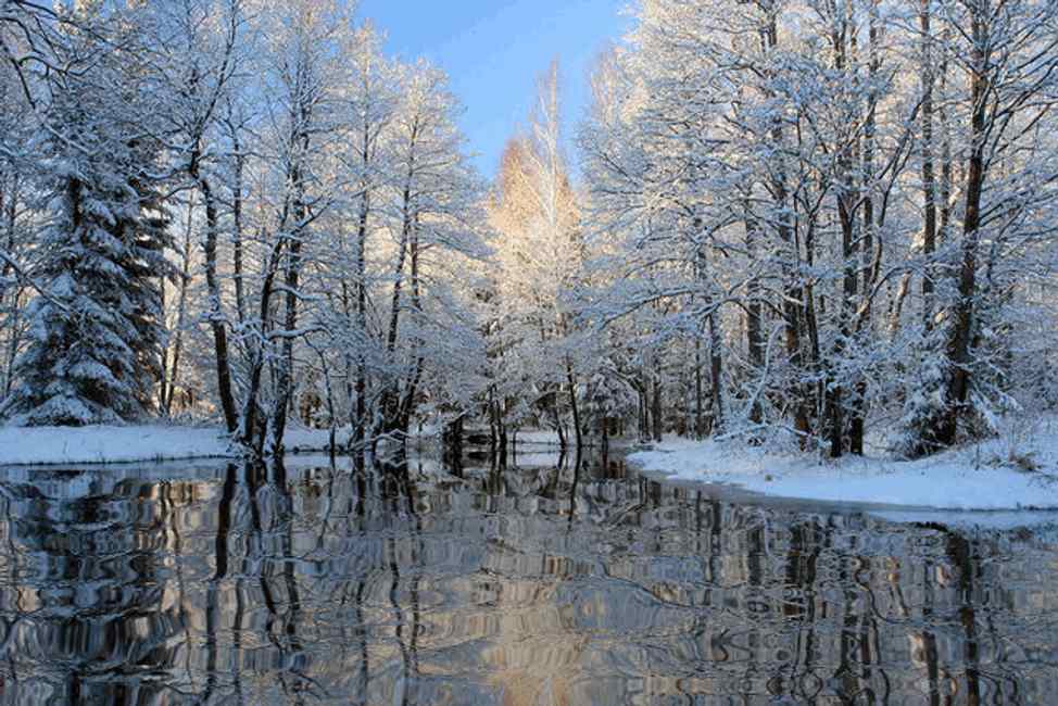 hintergrund,winter,schnee,natürliche landschaft,baum,natur