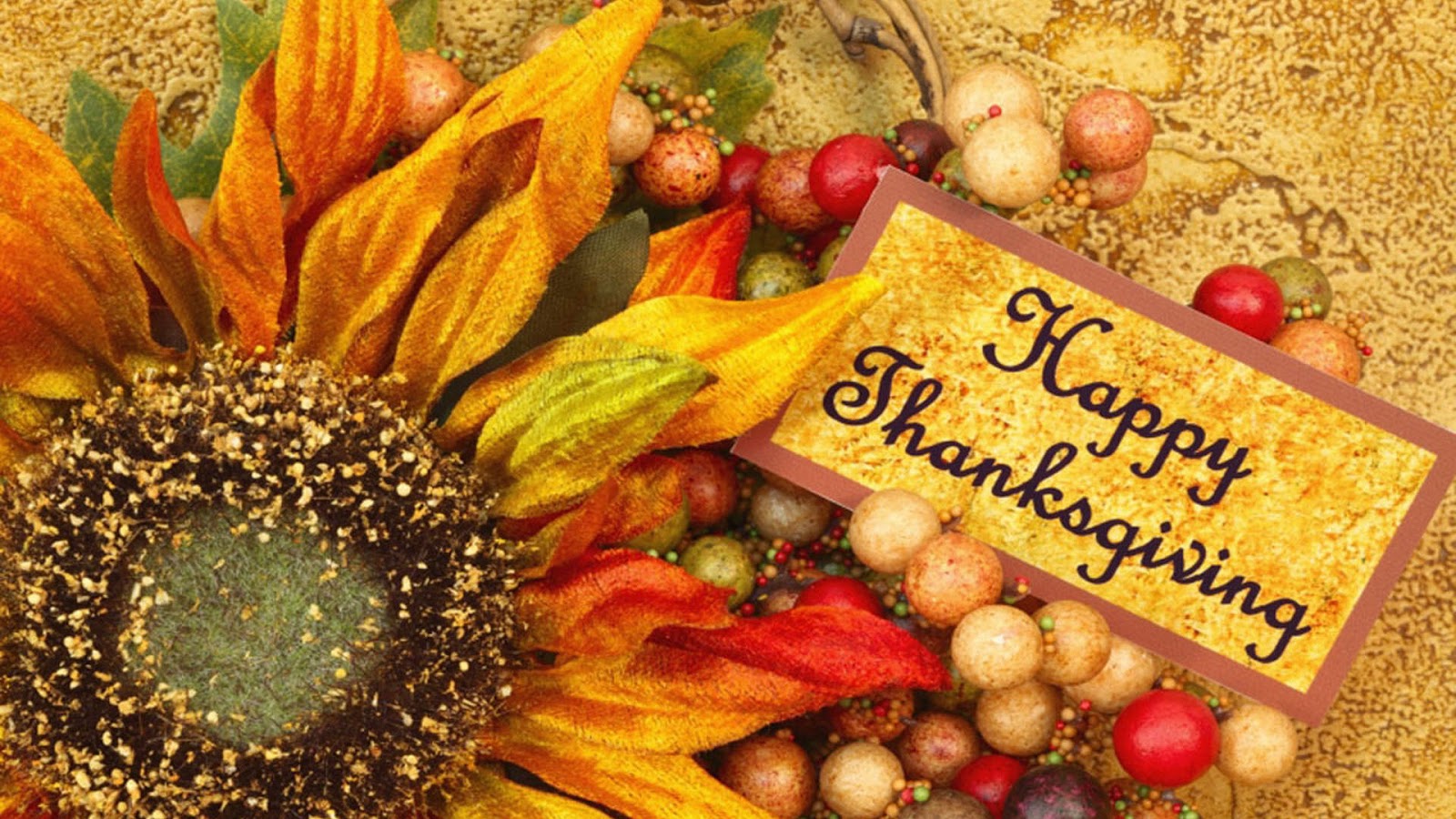free thanksgiving wallpaper desktop,natural foods,whole food,food group,local food,superfood
