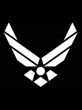 공군 아이폰 배경 화면,검정,대칭,검정색과 흰색,삽화,날개
