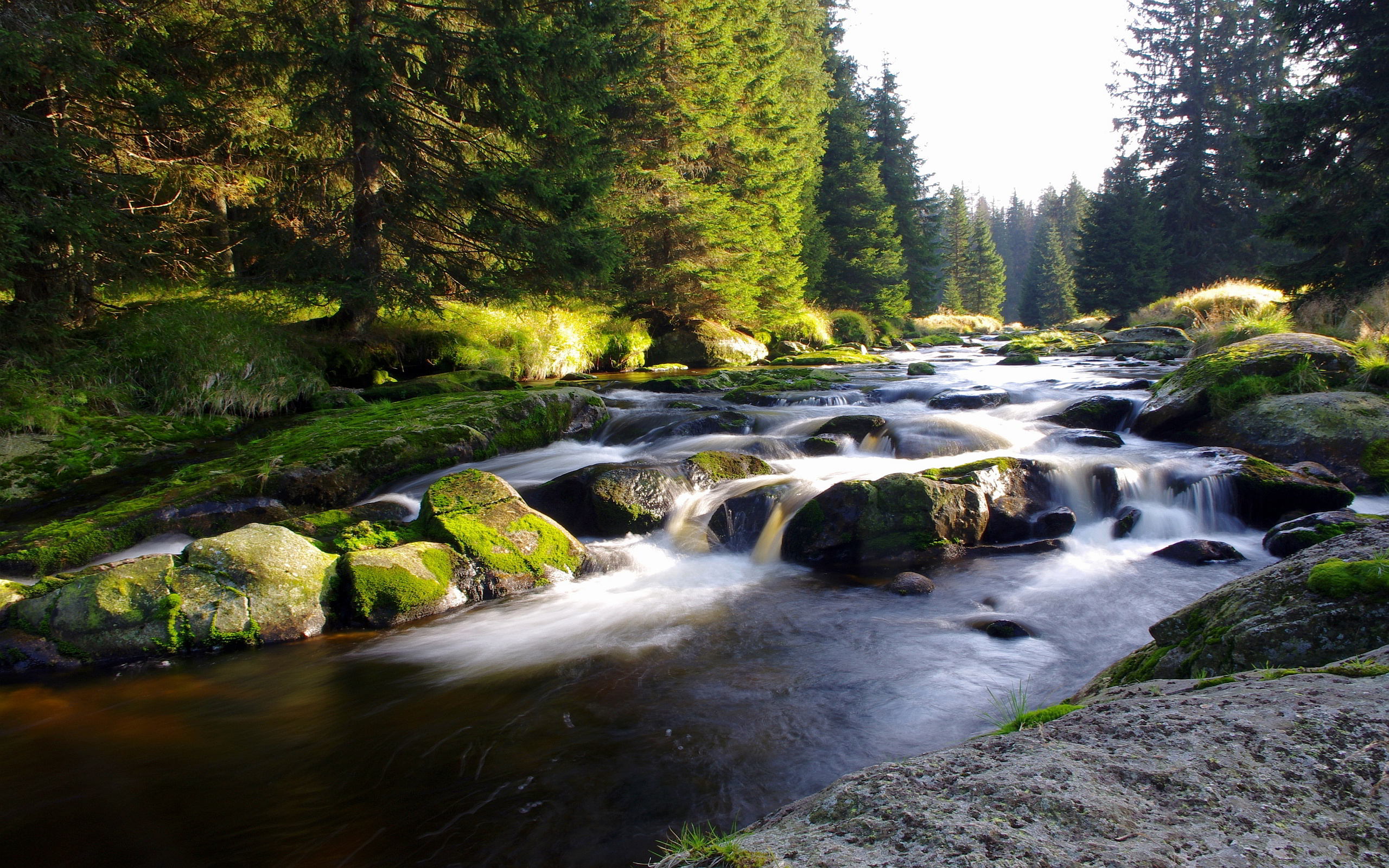 stream wallpaper,gewässer,wasservorräte,natürliche landschaft,natur,strom