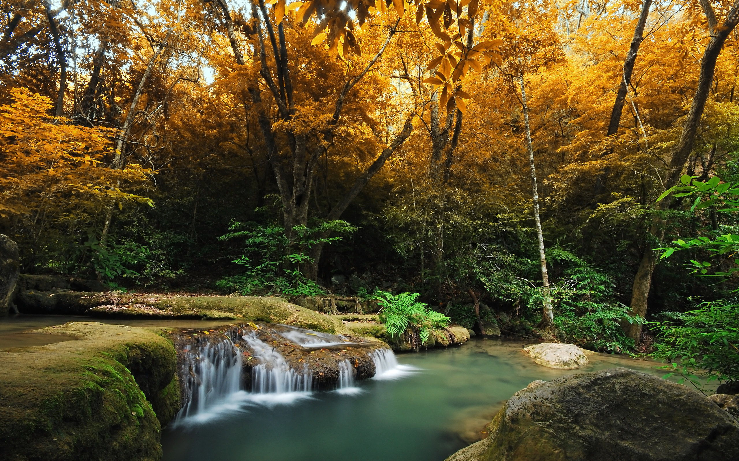 stream wallpaper,body of water,natural landscape,nature,water resources,nature reserve