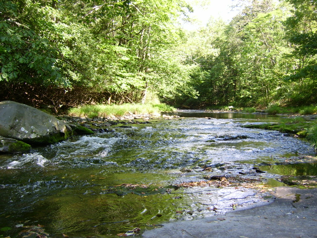 sfondi stream,corpo d'acqua,risorse idriche,paesaggio naturale,ruscello,natura