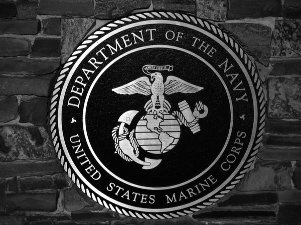 marines iphone wallpaper,emblem,symbol,grafik,kamm,schwarz und weiß