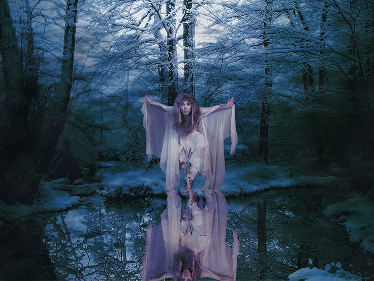 stevie nicks wallpaper,nature,natural environment,forest,tree,reflection