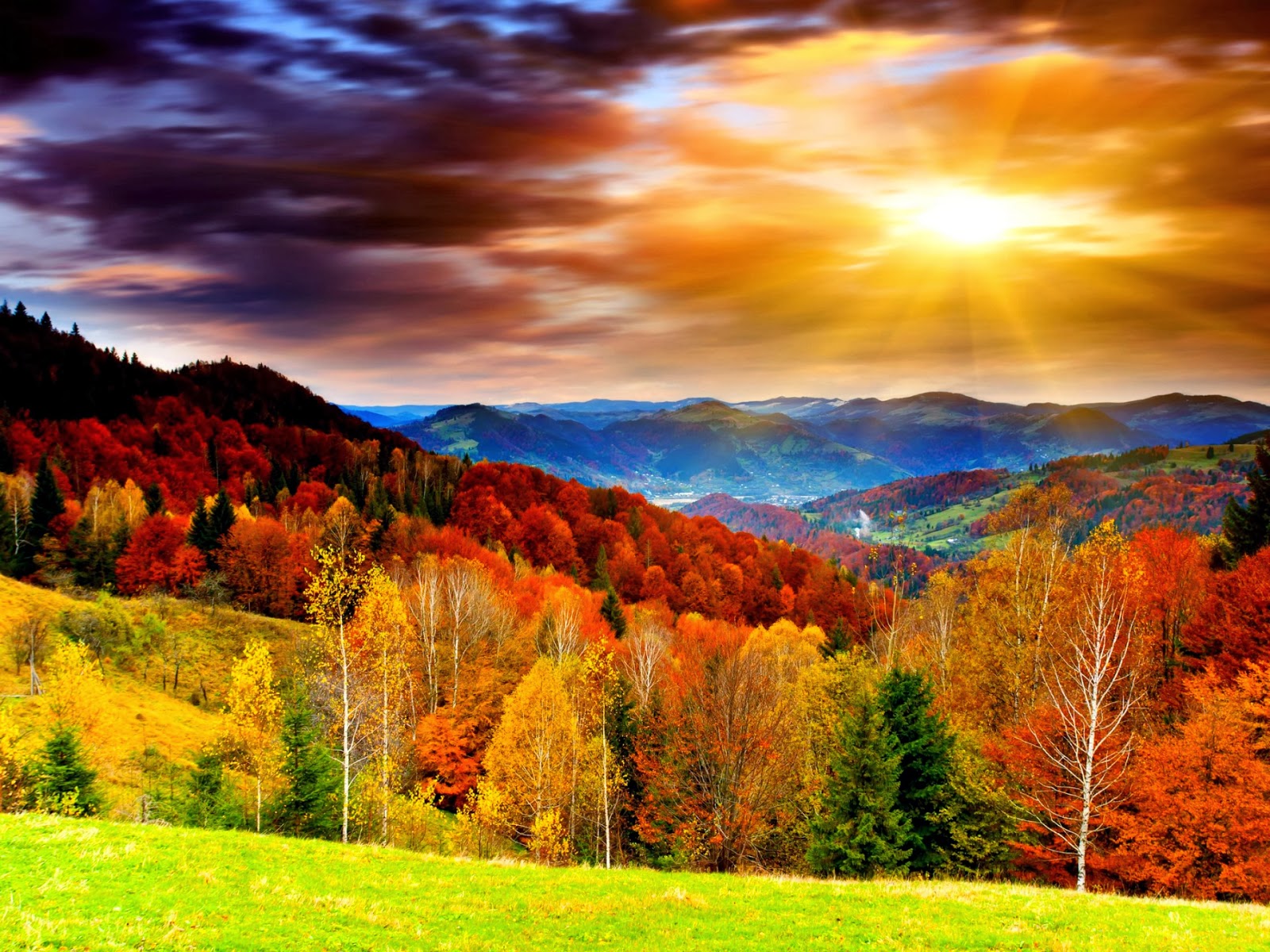 無料の風景の壁紙,自然の風景,自然,空,葉,山