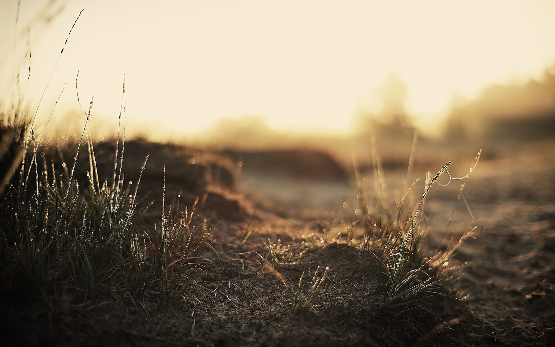 ground wallpaper,sky,nature,atmospheric phenomenon,grass,sunlight