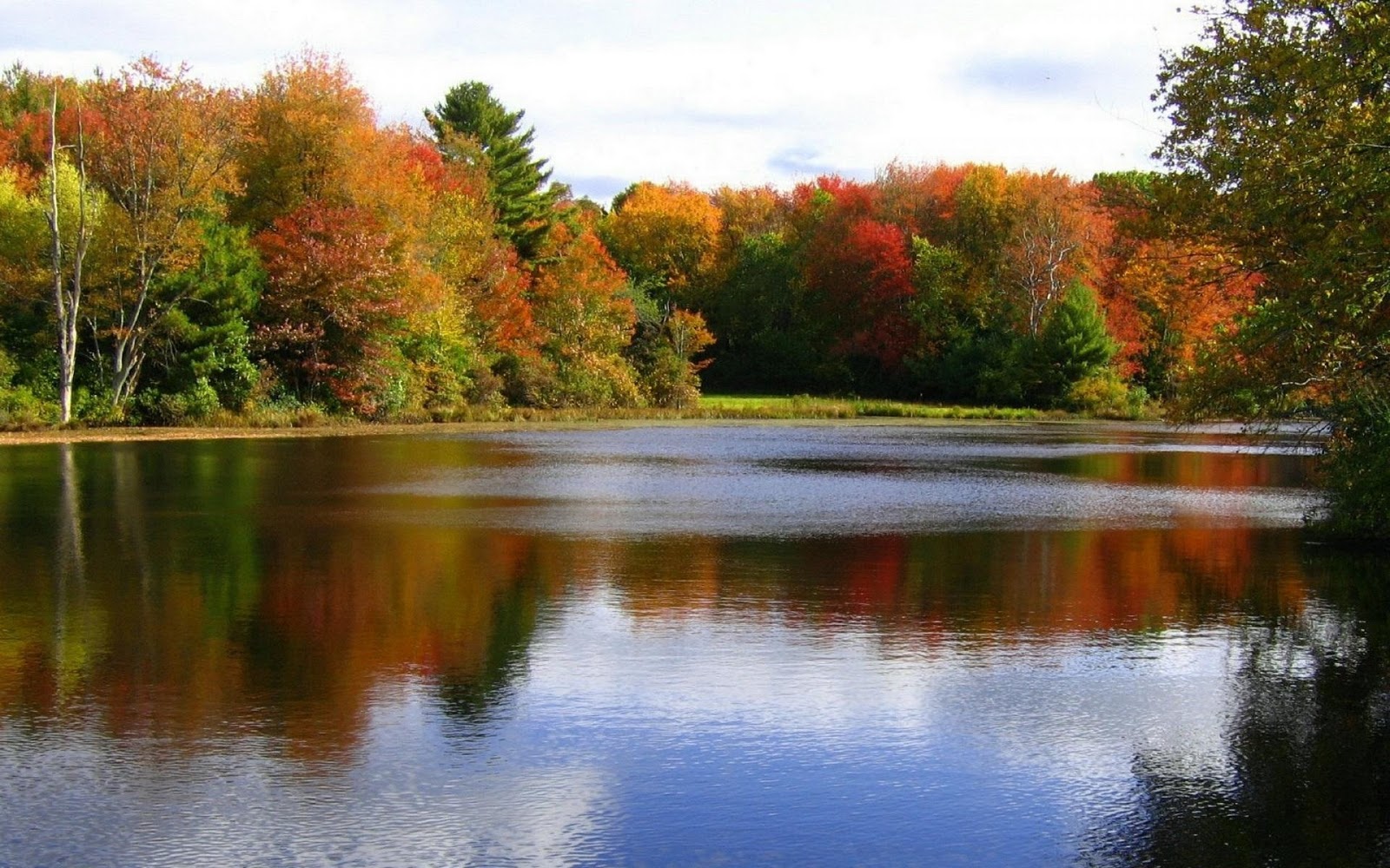 fall pics wallpaper,reflection,natural landscape,nature,body of water,water