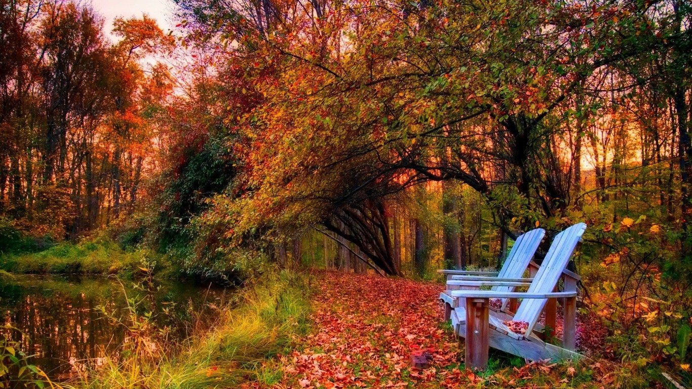 fondos de pantalla de otoño,paisaje natural,naturaleza,árbol,hoja,otoño