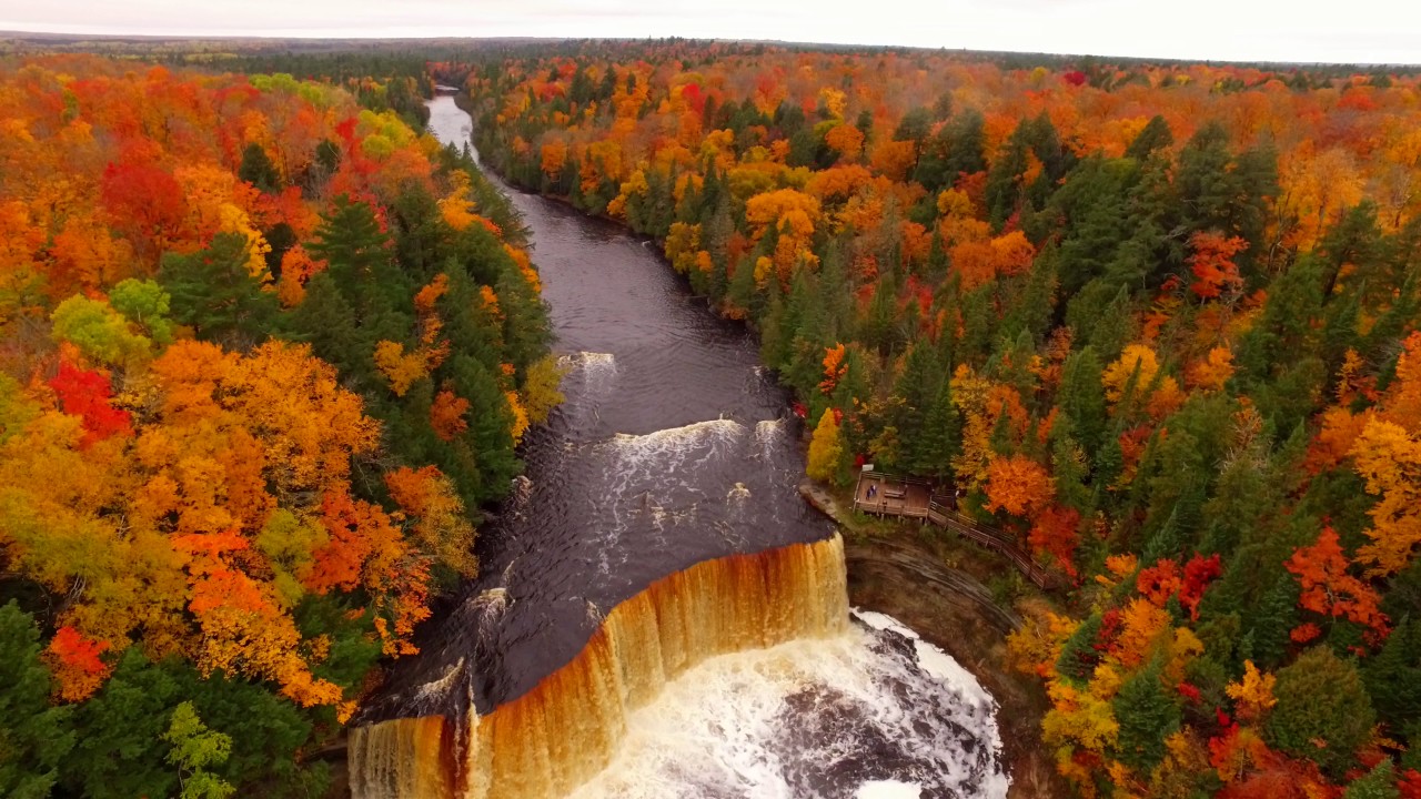 fall pics wallpaper,natural landscape,nature,leaf,state park,autumn