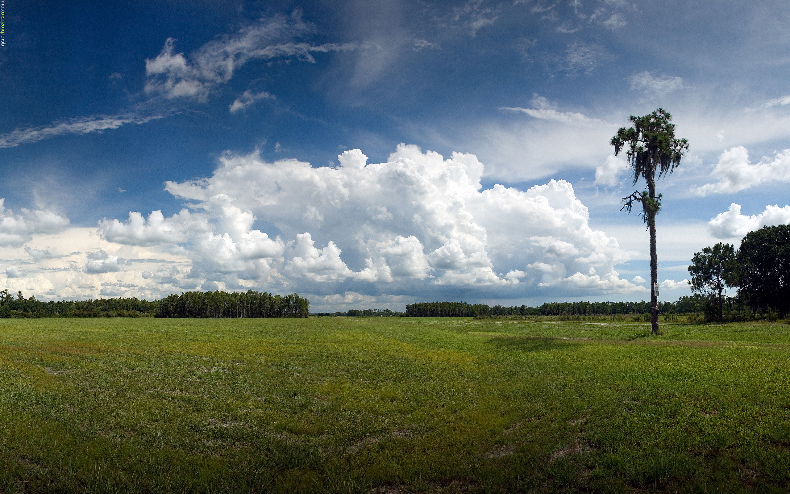 bodentapete,himmel,natürliche landschaft,wolke,wiese,natur