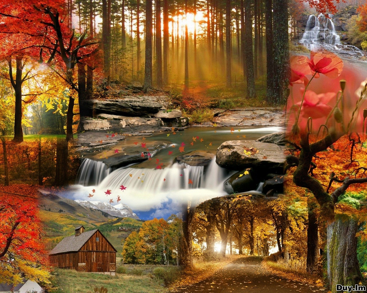 fall pics wallpaper,natural landscape,nature,autumn,painting,tree