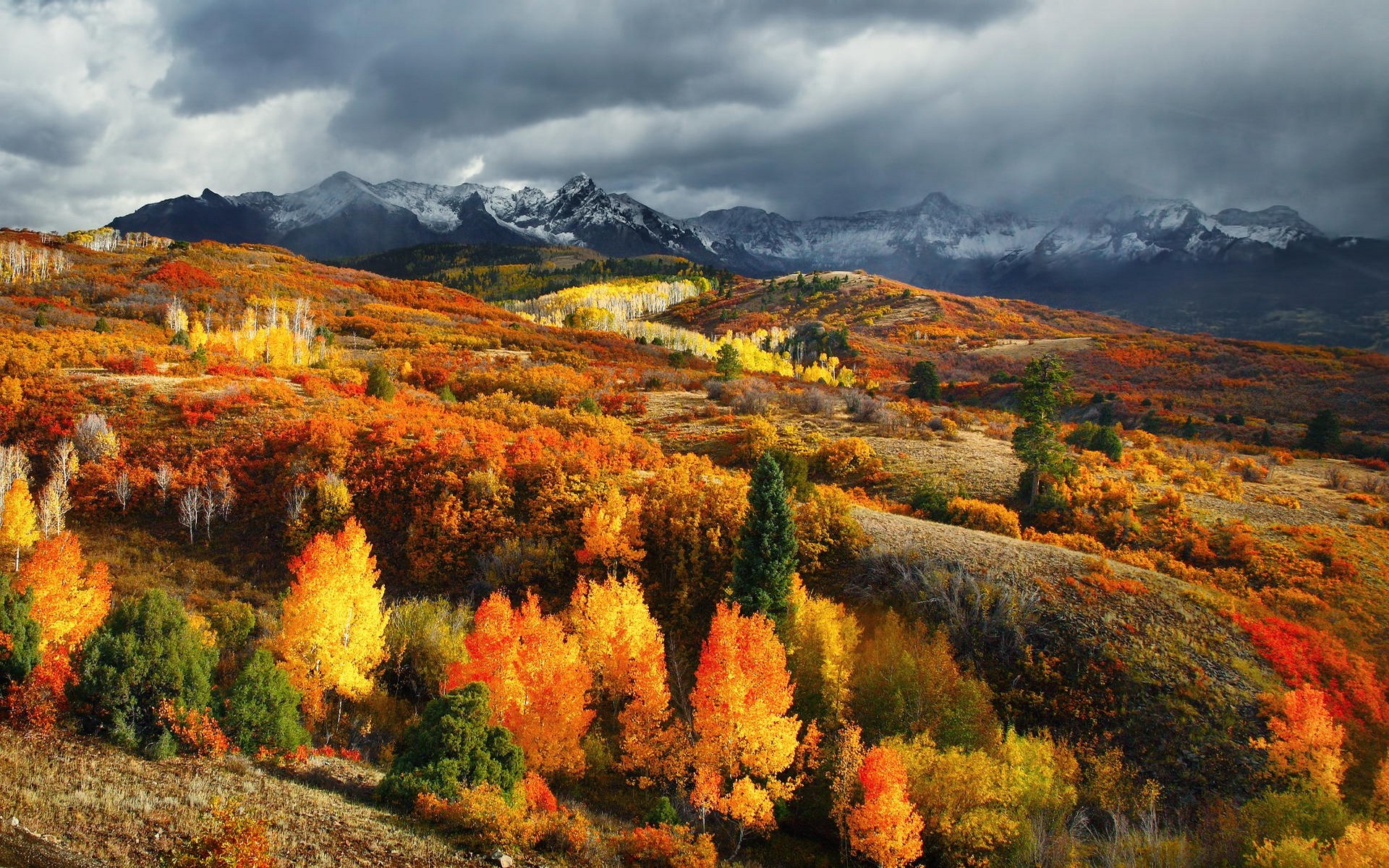 秋の写真の壁紙,自然,自然の風景,空,山,木