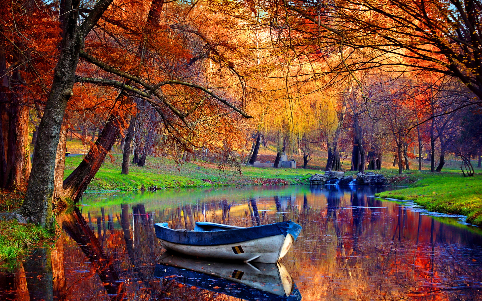 fall pics wallpaper,natural landscape,nature,reflection,tree,autumn