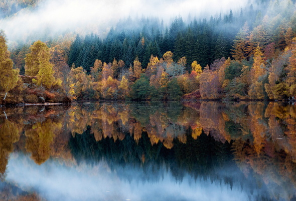 fall pics wallpaper,reflection,natural landscape,nature,sky,atmospheric phenomenon