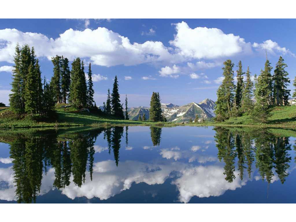 sfondi paesaggi,riflessione,paesaggio naturale,natura,cielo,albero