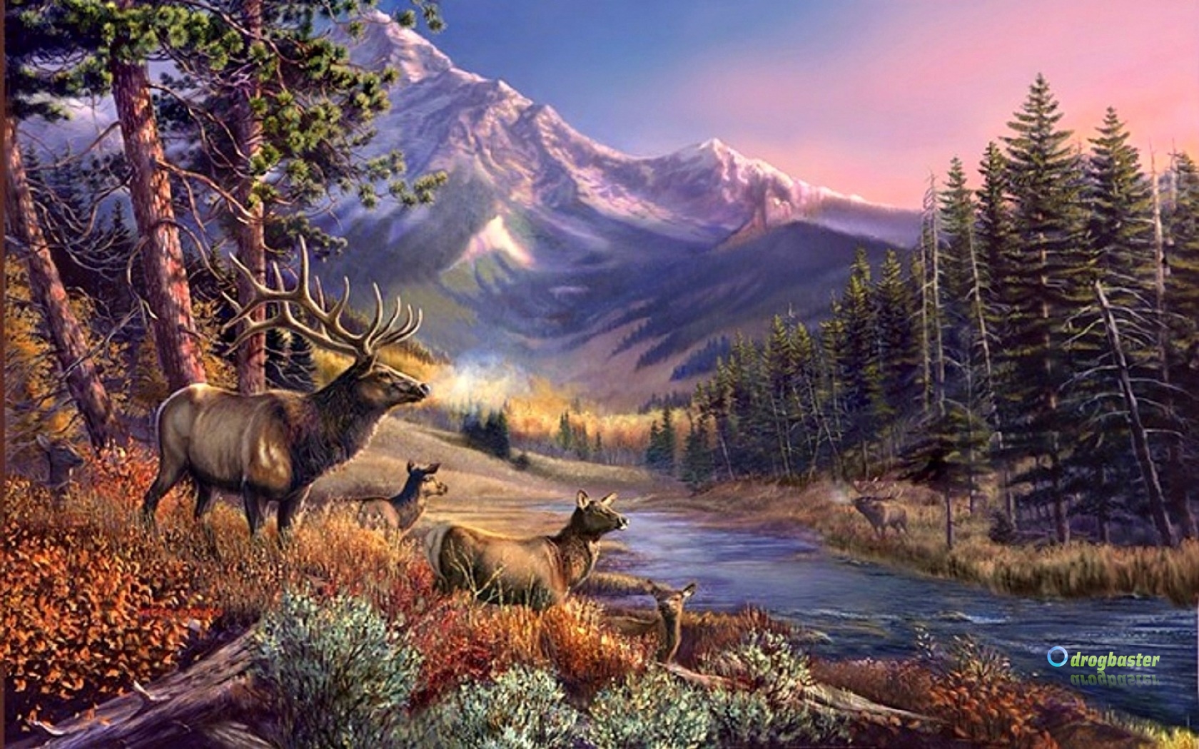 wallpaper paesaggi,natural landscape,nature,wildlife,wilderness,reindeer