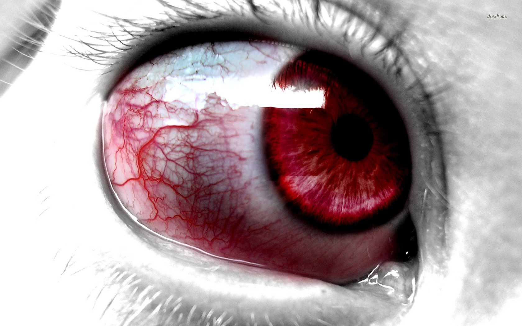 bloody eyes wallpaper,eye,iris,close up,organ,skin