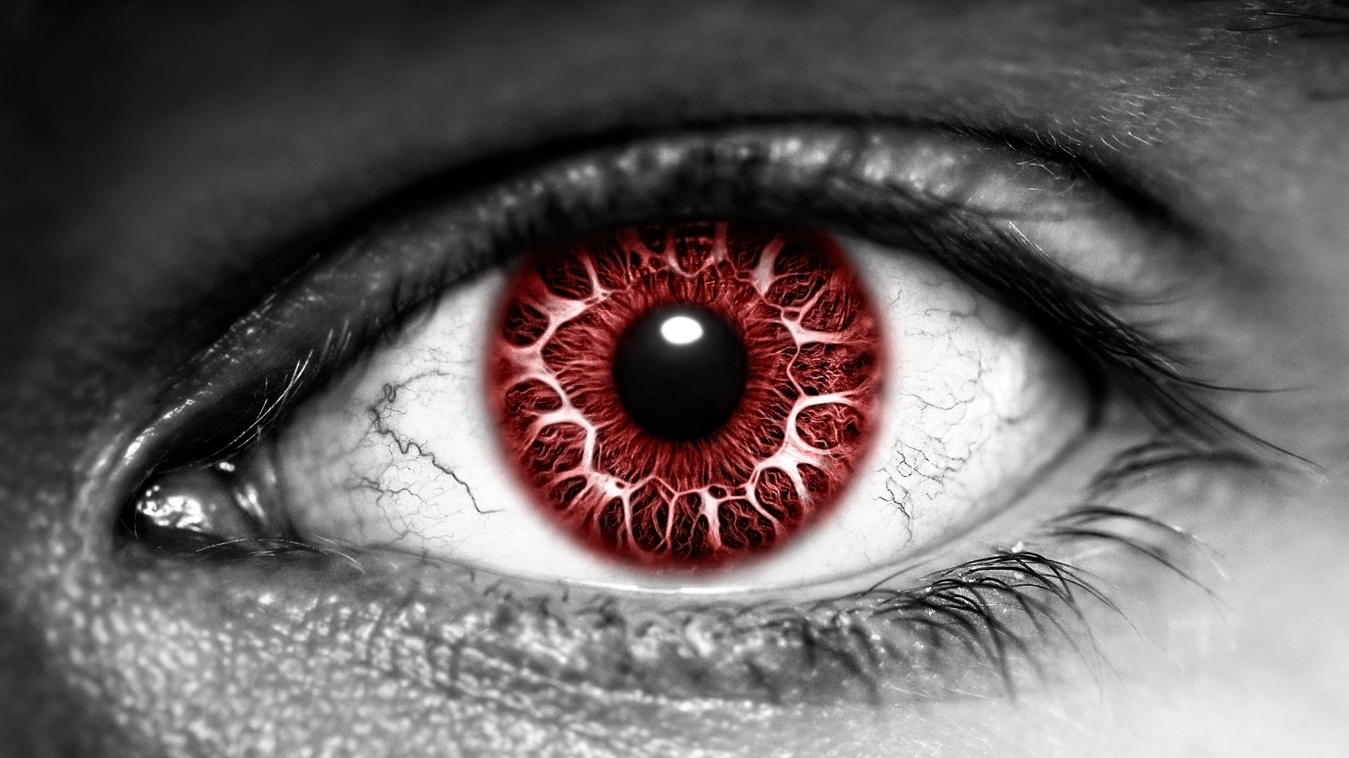 fondo de pantalla de ojos ensangrentados,ojo,iris,de cerca,rojo,pestaña