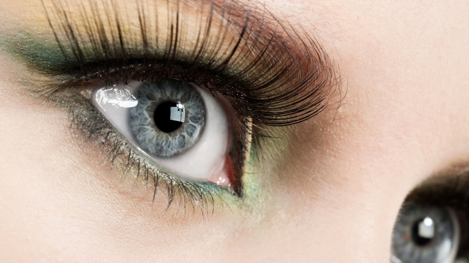 beaux yeux fonds d'écran hd,sourcil,cil,œil,visage,vert