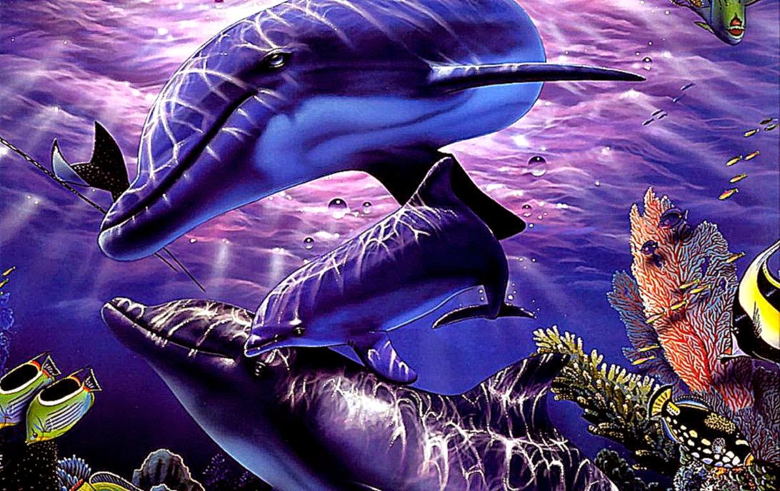 fondo de pantalla de delfines 3d,delfín,delfín nariz de botella común,biología marina,mamífero marino,delfín nariz de botella