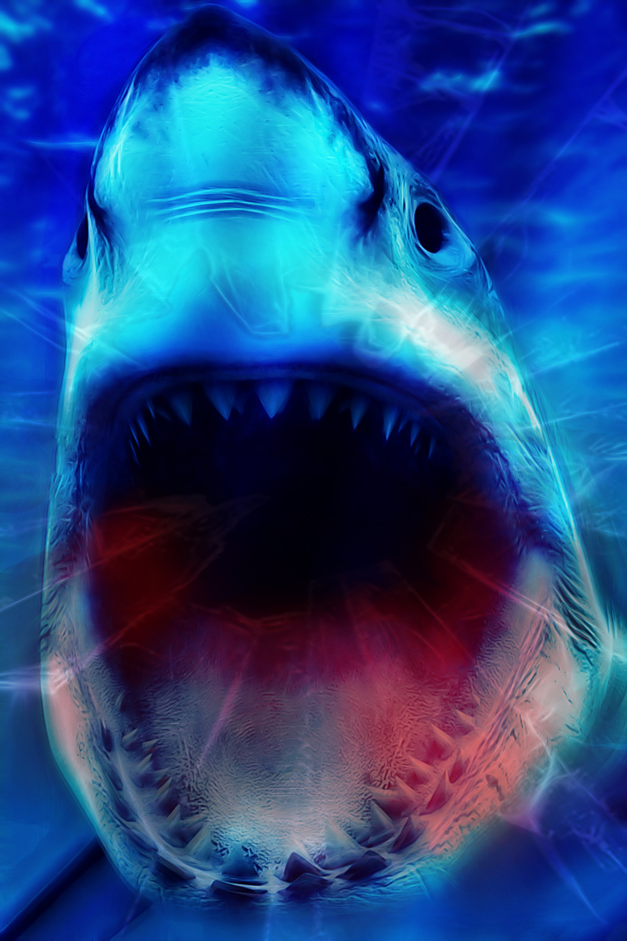 3d shark wallpaper,fish,great white shark,fish,shark,lamnidae